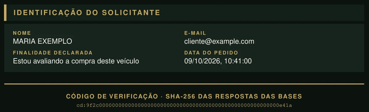 Identificação do solicitante e código de verificação SHA-256 na segunda página da amostra do relatório RENAJUD.